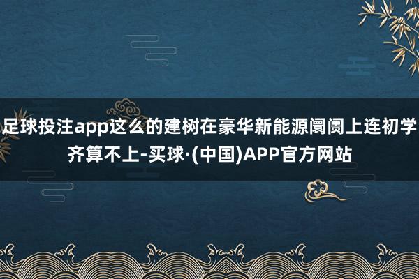 足球投注app这么的建树在豪华新能源阛阓上连初学齐算不上-买球·(中国)APP官方网站