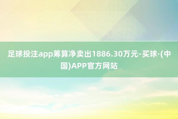 足球投注app筹算净卖出1886.30万元-买球·(中国)APP官方网站