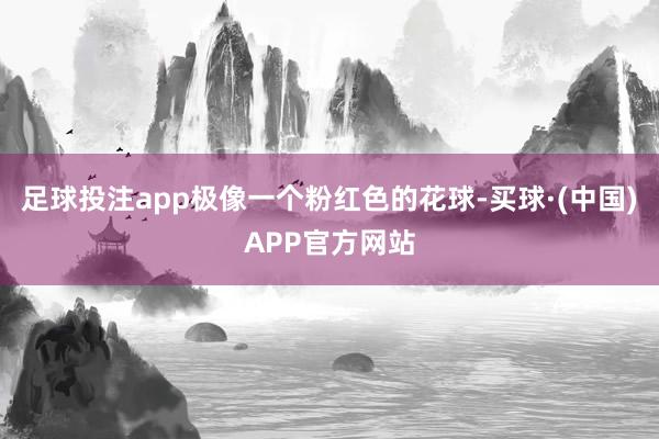 足球投注app极像一个粉红色的花球-买球·(中国)APP官方网站