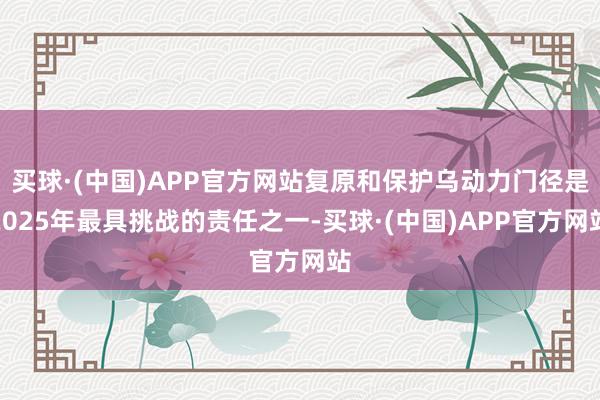 买球·(中国)APP官方网站复原和保护乌动力门径是2025年最具挑战的责任之一-买球·(中国)APP官方网站