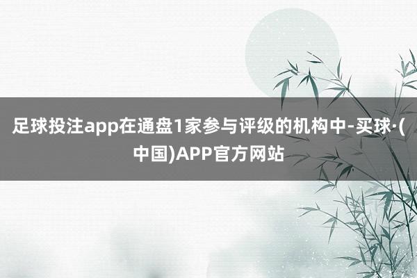足球投注app在通盘1家参与评级的机构中-买球·(中国)APP官方网站