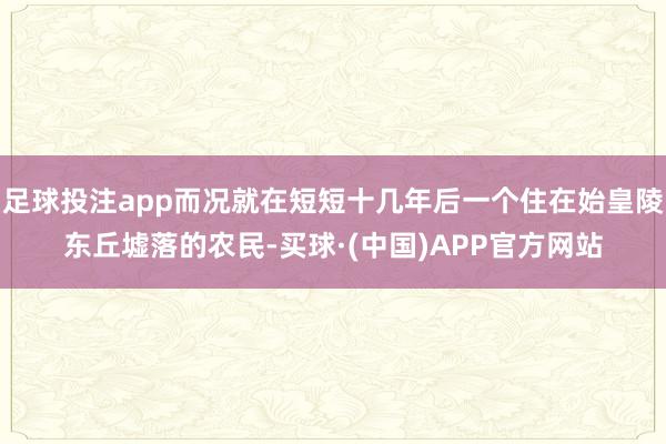 足球投注app而况就在短短十几年后一个住在始皇陵东丘墟落的农民-买球·(中国)APP官方网站