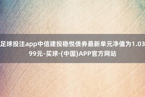 足球投注app中信建投稳悦债券最新单元净值为1.0399元-买球·(中国)APP官方网站