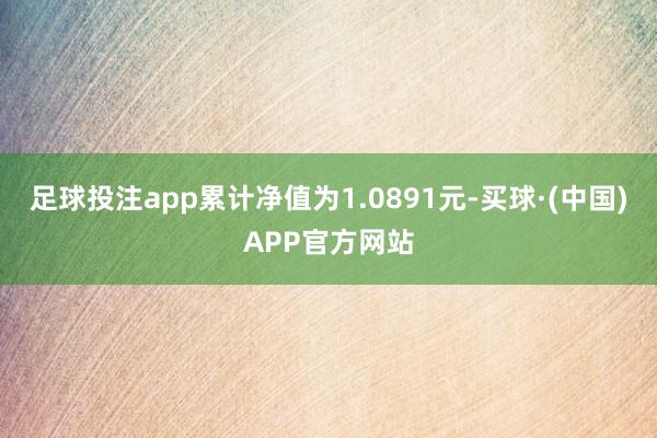 足球投注app累计净值为1.0891元-买球·(中国)APP官方网站