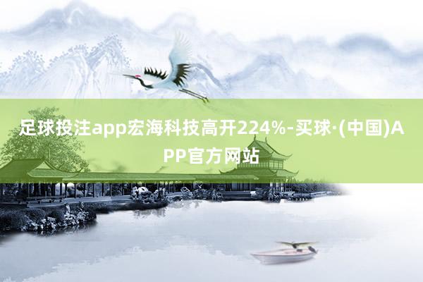 足球投注app宏海科技高开224%-买球·(中国)APP官方网站