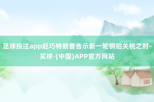 足球投注app赶巧特朗普告示新一轮钢铝关税之时-买球·(中国)APP官方网站