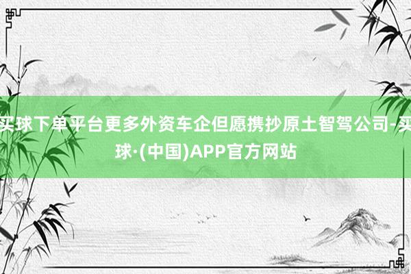 买球下单平台更多外资车企但愿携抄原土智驾公司-买球·(中国)APP官方网站