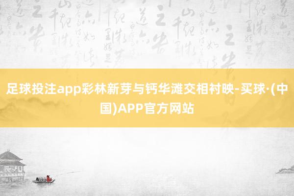 足球投注app彩林新芽与钙华滩交相衬映-买球·(中国)APP官方网站