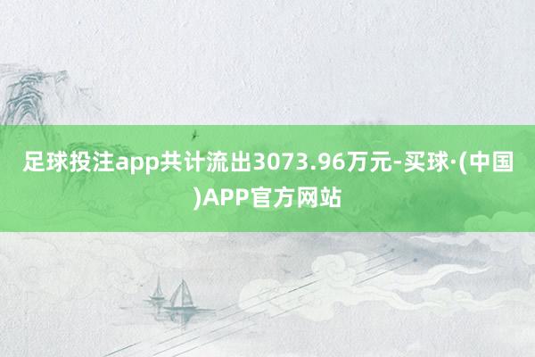 足球投注app共计流出3073.96万元-买球·(中国)APP官方网站