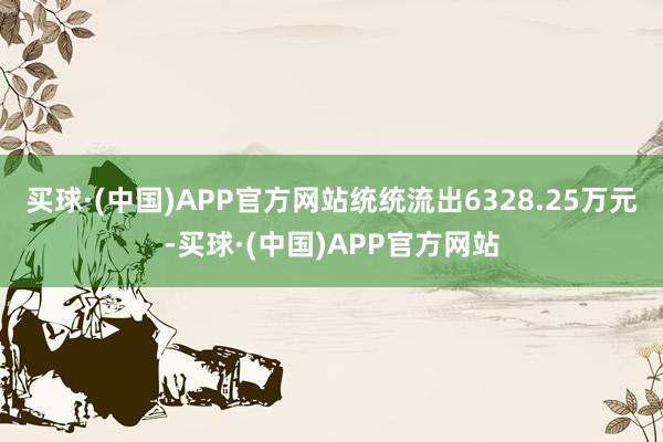 买球·(中国)APP官方网站统统流出6328.25万元-买球·(中国)APP官方网站