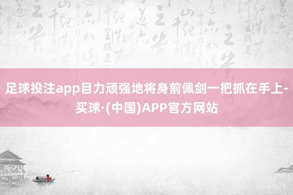 足球投注app目力顽强地将身前佩剑一把抓在手上-买球·(中国)APP官方网站