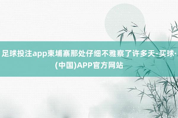 足球投注app柬埔寨那处仔细不雅察了许多天-买球·(中国)APP官方网站