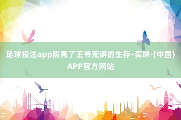 足球投注app照亮了王爷荒僻的生存-买球·(中国)APP官方网站
