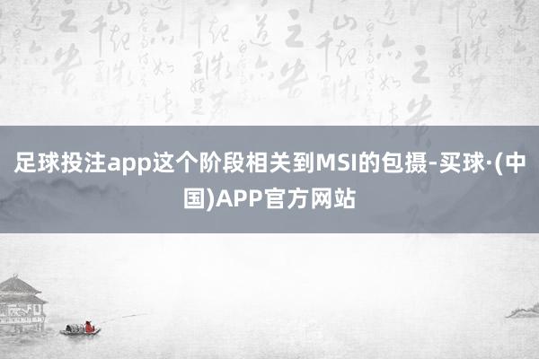 足球投注app这个阶段相关到MSI的包摄-买球·(中国)APP官方网站