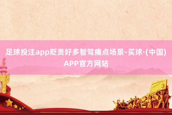 足球投注app贬责好多智驾痛点场景-买球·(中国)APP官方网站