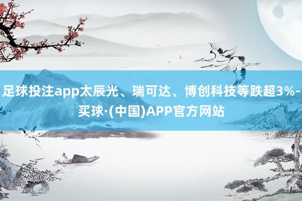 足球投注app太辰光、瑞可达、博创科技等跌超3%-买球·(中国)APP官方网站