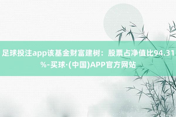 足球投注app该基金财富建树：股票占净值比94.31%-买球·(中国)APP官方网站
