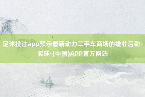 足球投注app预示着新动力二手车商场的雄壮后劲-买球·(中国)APP官方网站