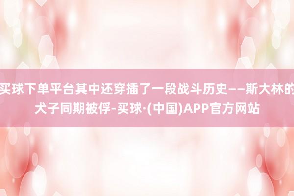 买球下单平台其中还穿插了一段战斗历史——斯大林的犬子同期被俘-买球·(中国)APP官方网站