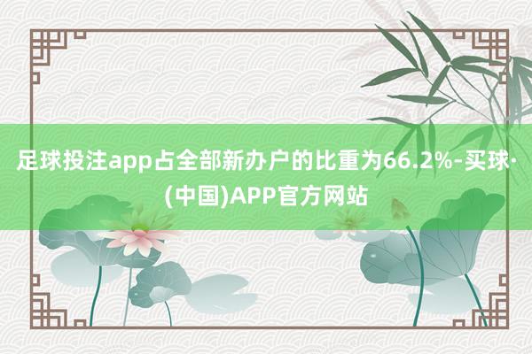 足球投注app占全部新办户的比重为66.2%-买球·(中国)APP官方网站