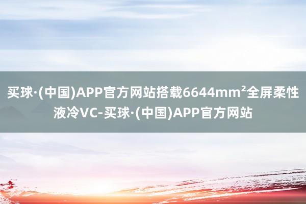买球·(中国)APP官方网站搭载6644mm²全屏柔性液冷VC-买球·(中国)APP官方网站