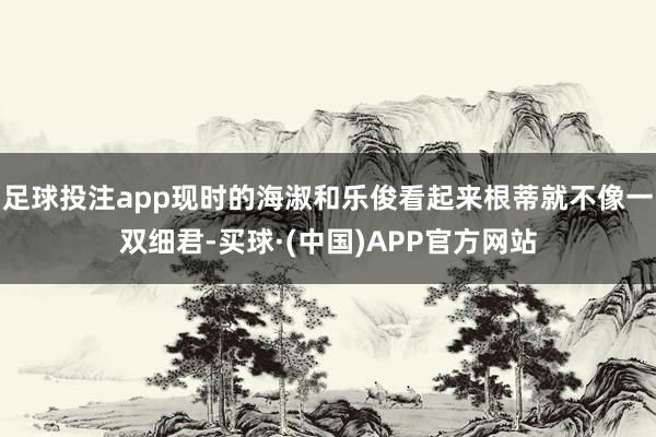 足球投注app现时的海淑和乐俊看起来根蒂就不像一双细君-买球·(中国)APP官方网站