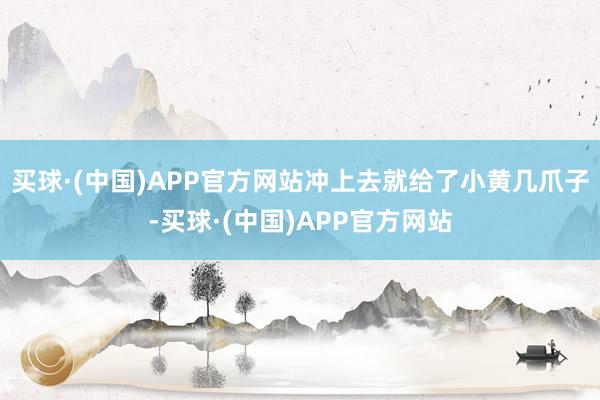 买球·(中国)APP官方网站冲上去就给了小黄几爪子-买球·(中国)APP官方网站