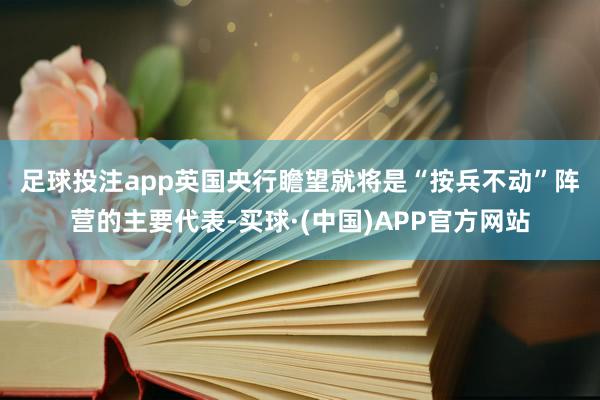 足球投注app　　英国央行瞻望就将是“按兵不动”阵营的主要代表-买球·(中国)APP官方网站