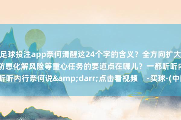 足球投注app奈何清醒这24个字的含义？全方向扩大内需、发展新质坐褥力、防患化解风险等重心任务的要道点在哪儿？一都听听内行奈何说&darr;点击看视频    -买球·(中国)APP官方网站