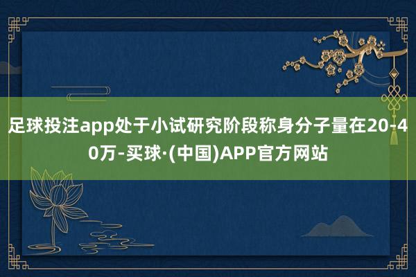 足球投注app处于小试研究阶段称身分子量在20-40万-买球·(中国)APP官方网站