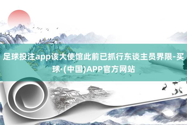 足球投注app该大使馆此前已抓行东谈主员界限-买球·(中国)APP官方网站