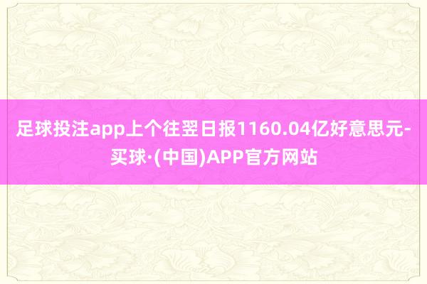 足球投注app上个往翌日报1160.04亿好意思元-买球·(中国)APP官方网站
