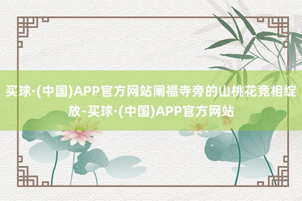 买球·(中国)APP官方网站阐福寺旁的山桃花竞相绽放-买球·(中国)APP官方网站