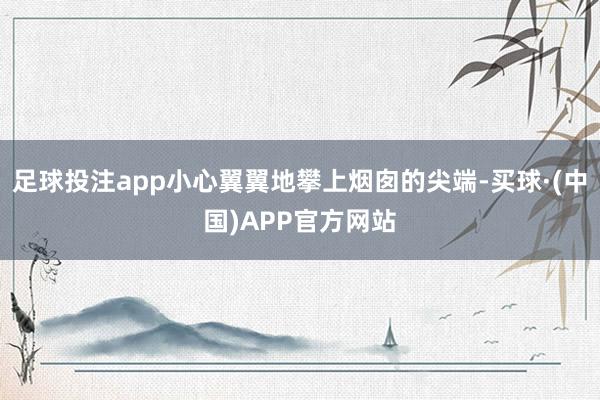 足球投注app小心翼翼地攀上烟囱的尖端-买球·(中国)APP官方网站