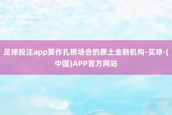 足球投注app算作扎根场合的原土金融机构-买球·(中国)APP官方网站