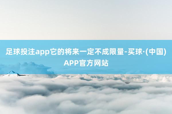 足球投注app它的将来一定不成限量-买球·(中国)APP官方网站