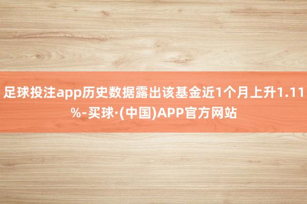 足球投注app历史数据露出该基金近1个月上升1.11%-买球·(中国)APP官方网站
