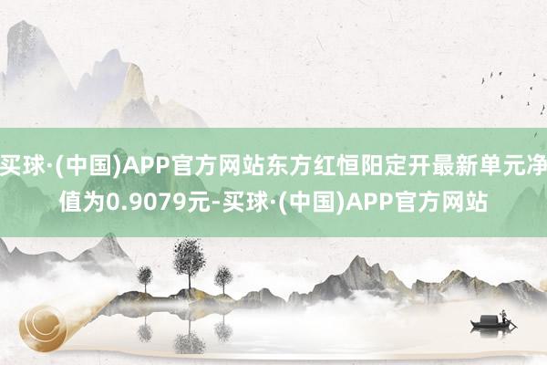 买球·(中国)APP官方网站东方红恒阳定开最新单元净值为0.9079元-买球·(中国)APP官方网站