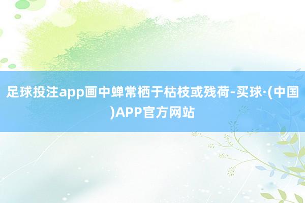 足球投注app画中蝉常栖于枯枝或残荷-买球·(中国)APP官方网站