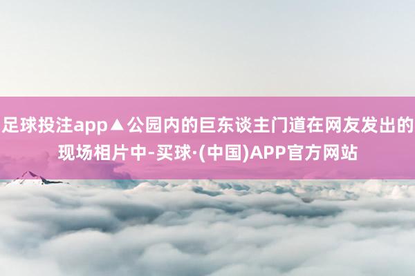 足球投注app▲公园内的巨东谈主门道在网友发出的现场相片中-买球·(中国)APP官方网站