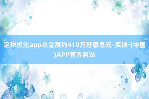 足球投注app总金额约410万好意思元-买球·(中国)APP官方网站