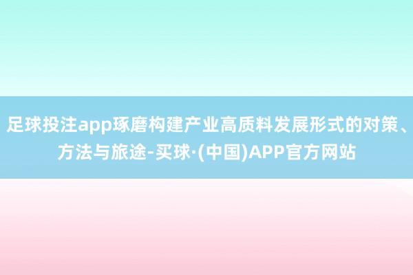 足球投注app琢磨构建产业高质料发展形式的对策、方法与旅途-买球·(中国)APP官方网站