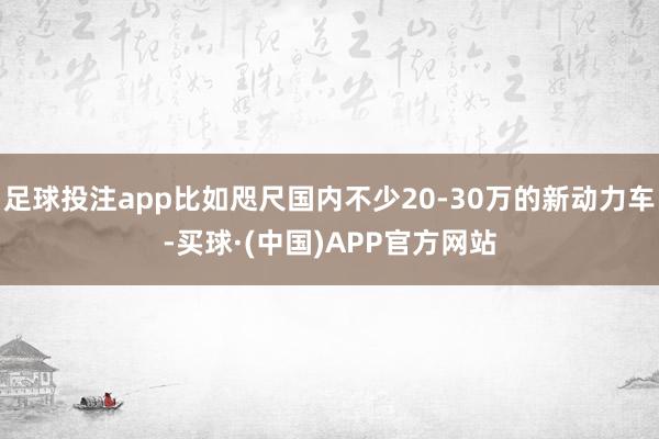 足球投注app比如咫尺国内不少20-30万的新动力车-买球·(中国)APP官方网站