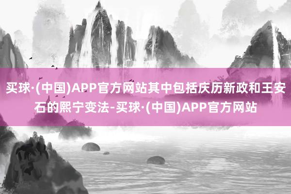 买球·(中国)APP官方网站其中包括庆历新政和王安石的熙宁变法-买球·(中国)APP官方网站