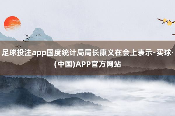 足球投注app国度统计局局长康义在会上表示-买球·(中国)APP官方网站