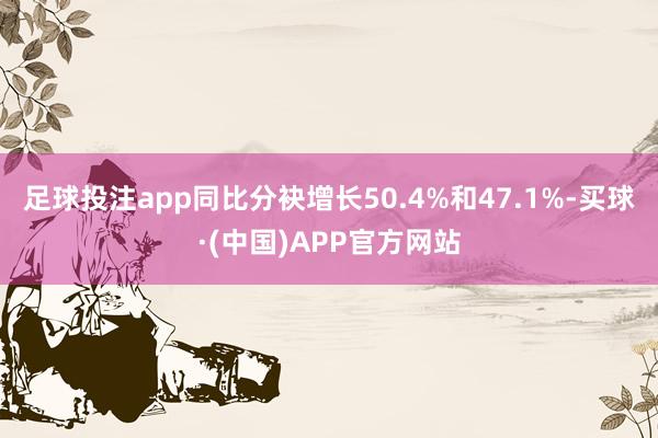 足球投注app同比分袂增长50.4%和47.1%-买球·(中国)APP官方网站
