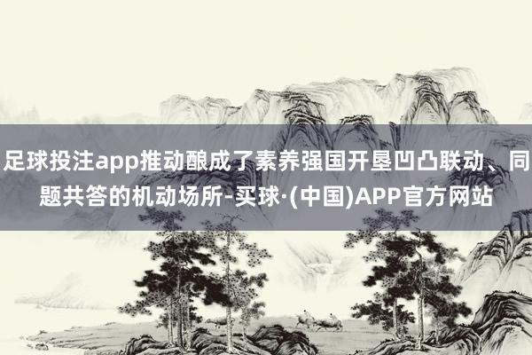 足球投注app推动酿成了素养强国开垦凹凸联动、同题共答的机动场所-买球·(中国)APP官方网站