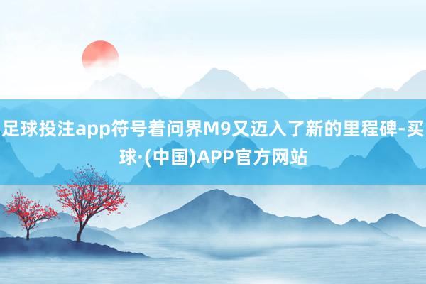 足球投注app符号着问界M9又迈入了新的里程碑-买球·(中国)APP官方网站