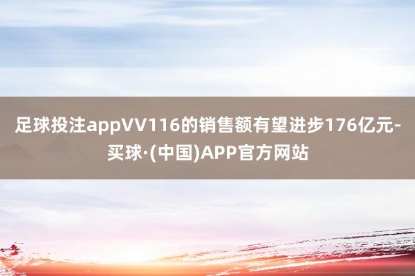 足球投注appVV116的销售额有望进步176亿元-买球·(中国)APP官方网站