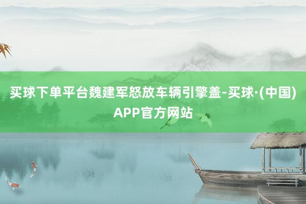 买球下单平台魏建军怒放车辆引擎盖-买球·(中国)APP官方网站